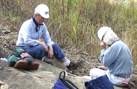 Florida Museum researchers