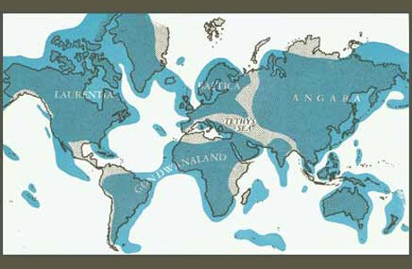 Gondwanaland had probably begun to break up