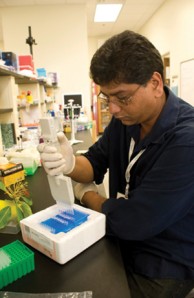 lab techniques lab techniques