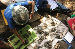 Bone collector slideshow Bone collector slideshow