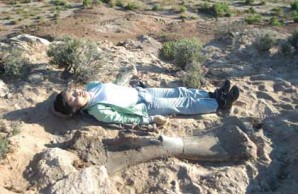 utah expedition utah expedition