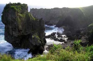 orchid island and snake