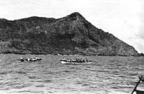 scattered bison scattered bison