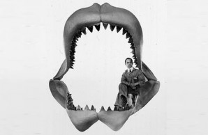 Jersey Shore shark attacks sharks attacks Jersey Shore