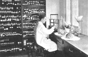 Ambergris is perfume lab Ambergris is perfume lab