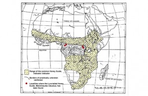 Guinea Forest map Guinea Forest map