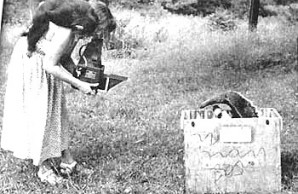 child photographing anteater child photographing anteater