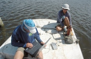 researching sharks researching sharks