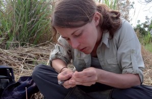 Katherine Faust Stryjewski