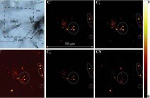 Paleoarchean-filaments_Barbara-Cavalazzi-etal Two rows of three squares each, the top left square pale gray with darker dots and the other five black with clusters of bright dots.