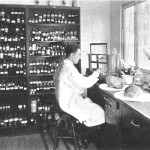 Ambergris is perfume lab